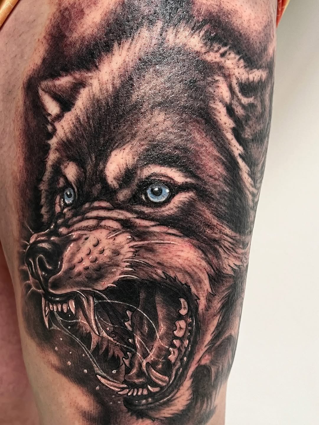 Lobo rabioso