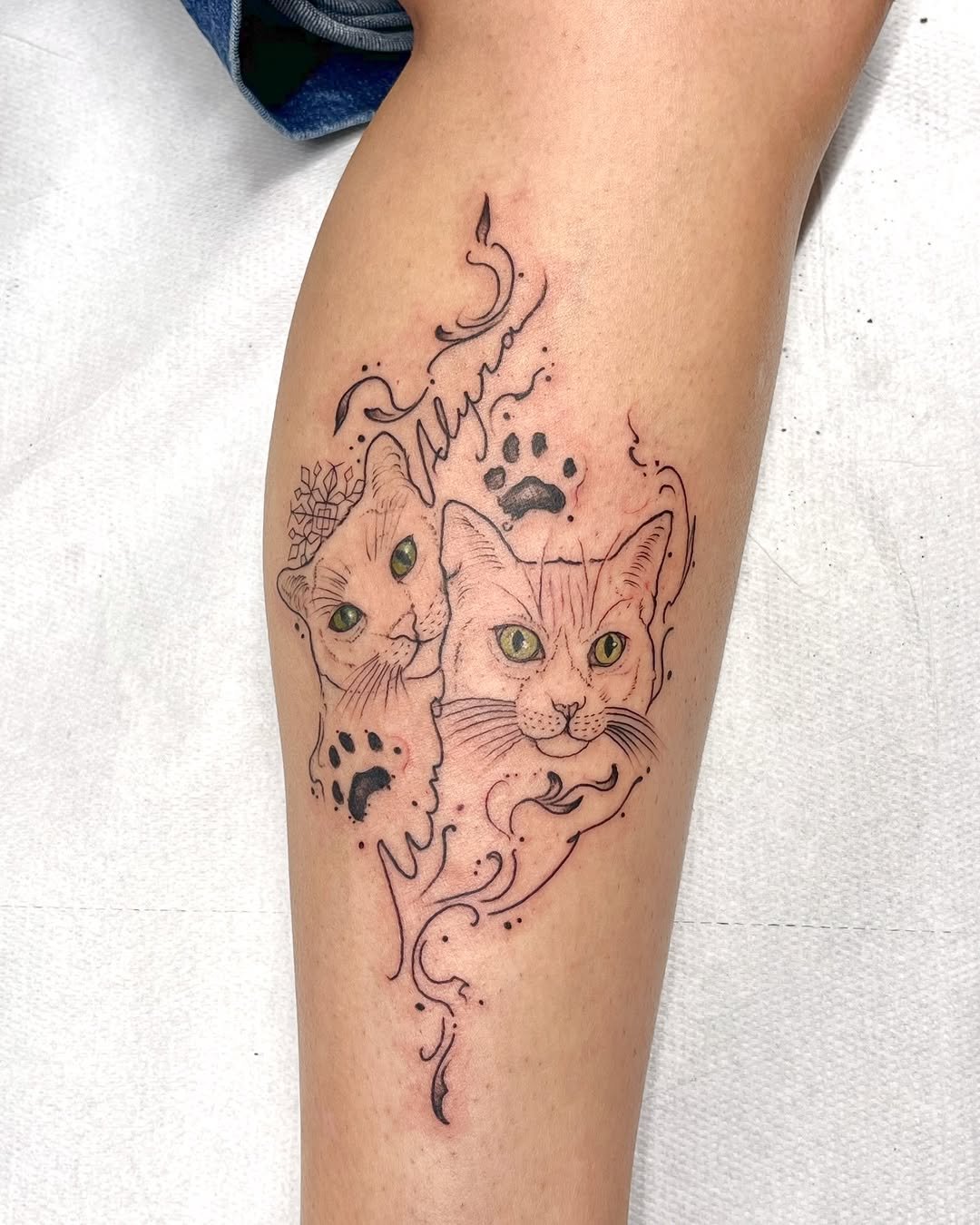 Tatuaje profesional en estudio MartinK Tattoo de unos gatos