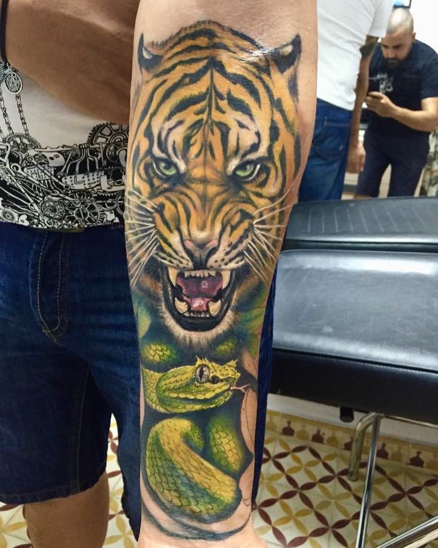 Poison and rage tigre y serpiente