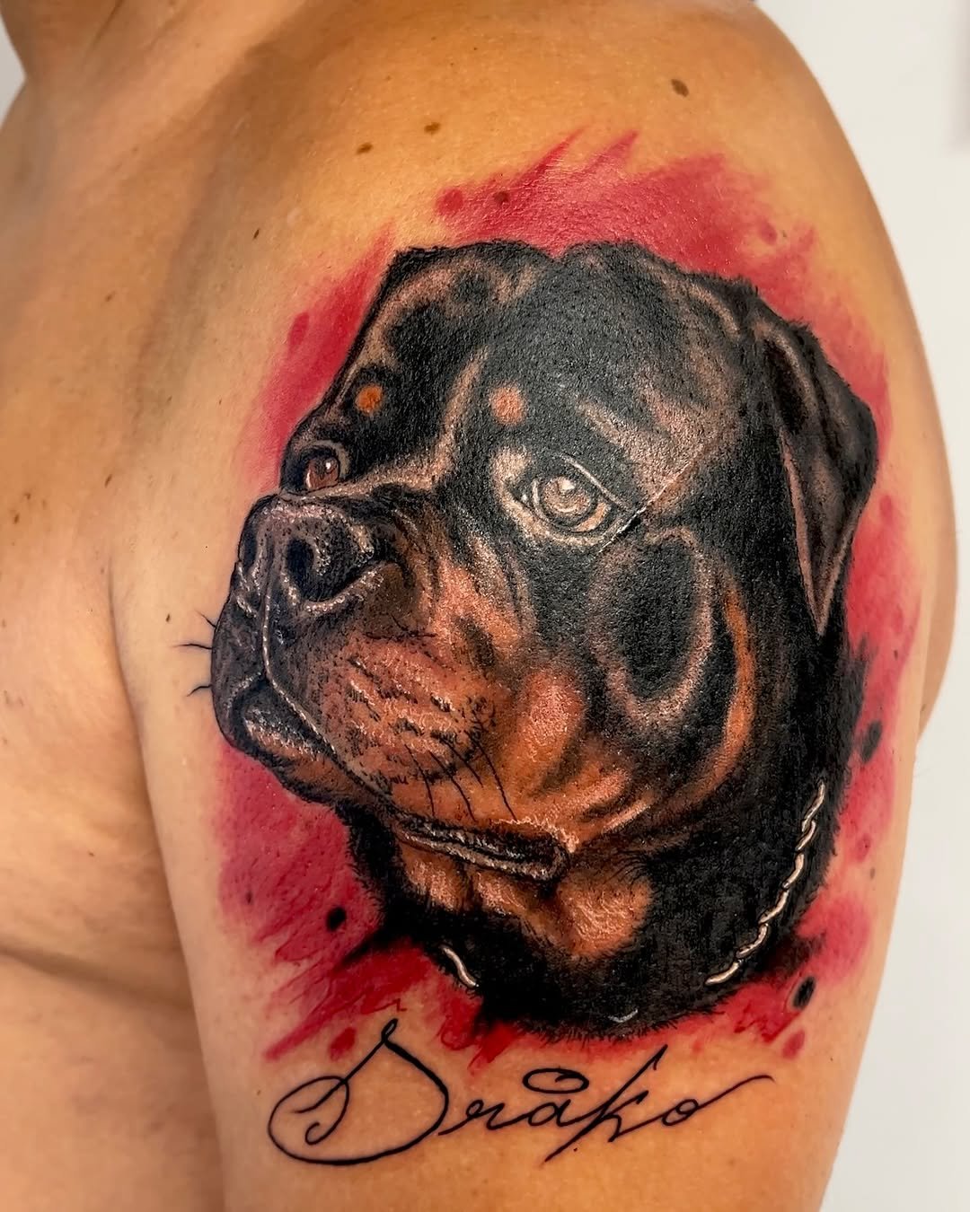 Tatuaje profesional en estudio MartinK Tattoo de un perro llamado Drako